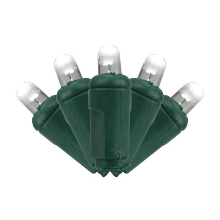 Celebrations Celebrations Platinum LED Mini Pure White 50 ct String Christmas Lights 25 ft. 5MM50PWA